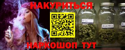индика Жуковский