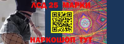 индика Жуковский